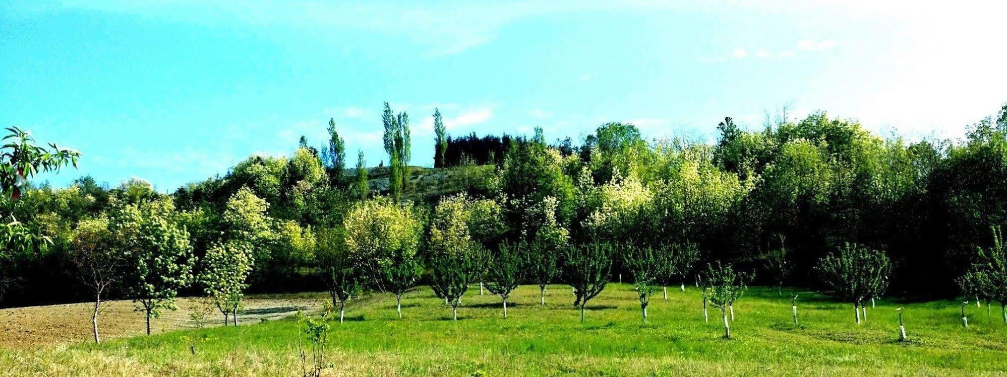 Tenuta Valdorso - Agri Resort Montechiaro D'acqui Luaran gambar